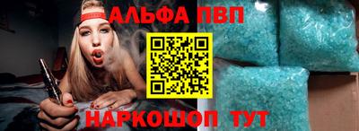 стаф Кингисепп