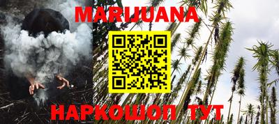 стаф Кингисепп