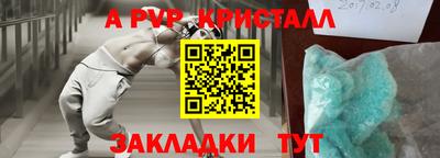 стаф Кингисепп